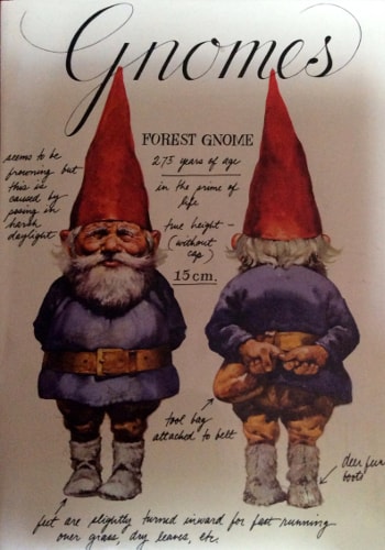 gnomes